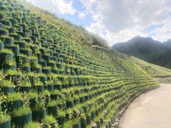 天祝縣2018祁連山國家公園體質試點項目
